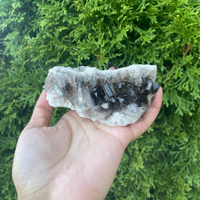 Smoky Quartz Cluster  22