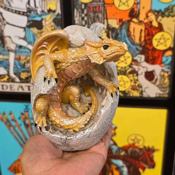 Dragon Hatchling 10107