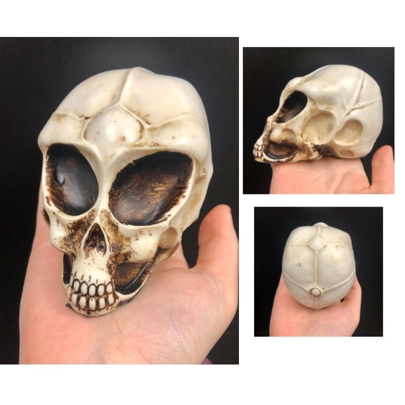 Small Alien Skull