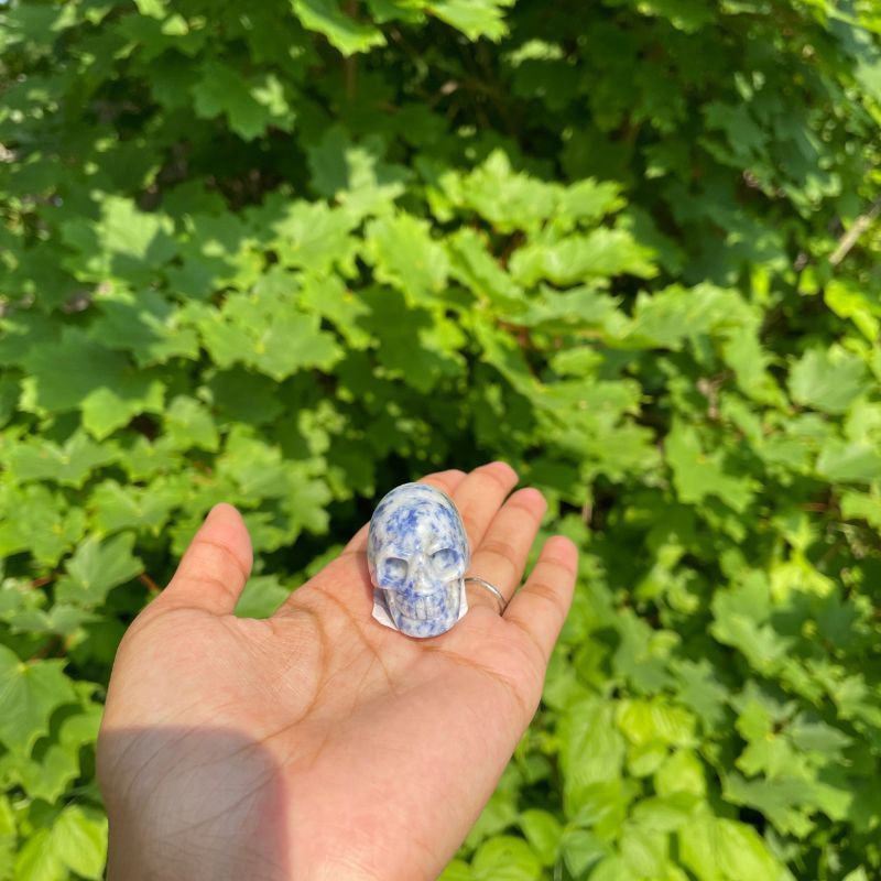 Sodalite Skull_ Sodalite Skull
