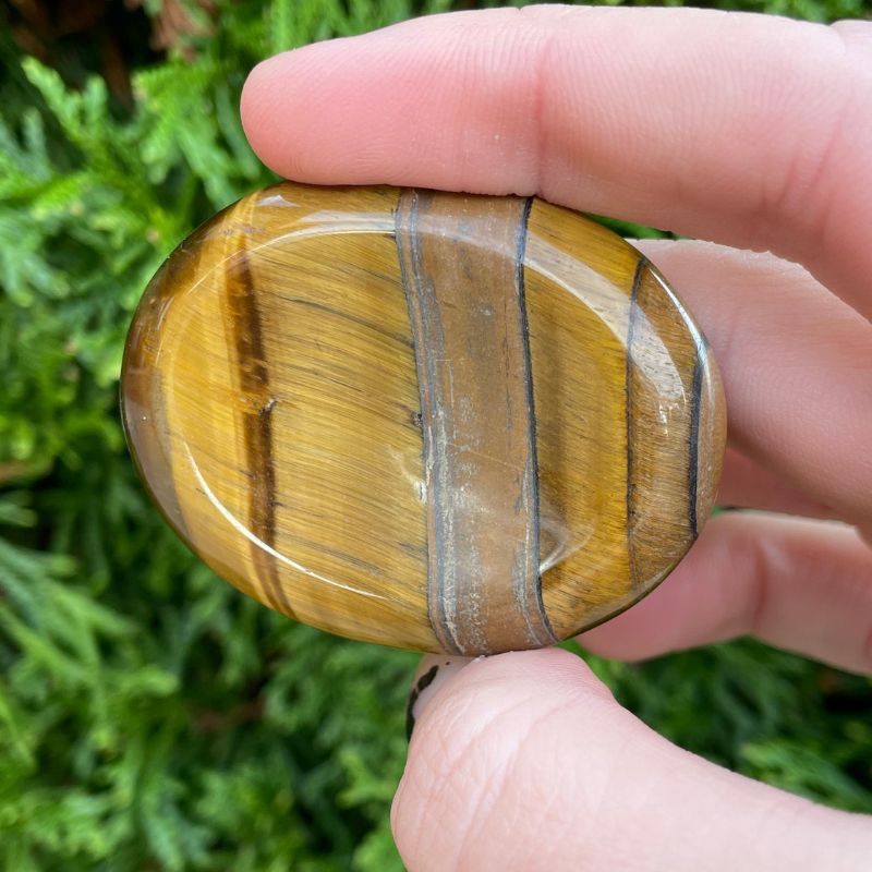 Tigers Eye Worry Stone Lg