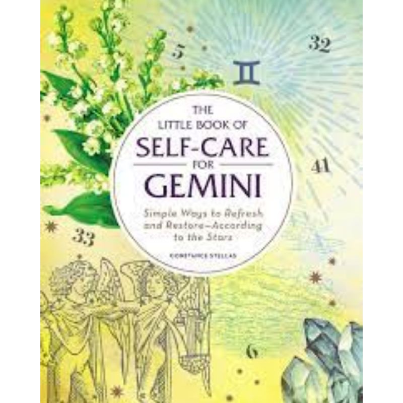 Little Book Of Self Care Gemini