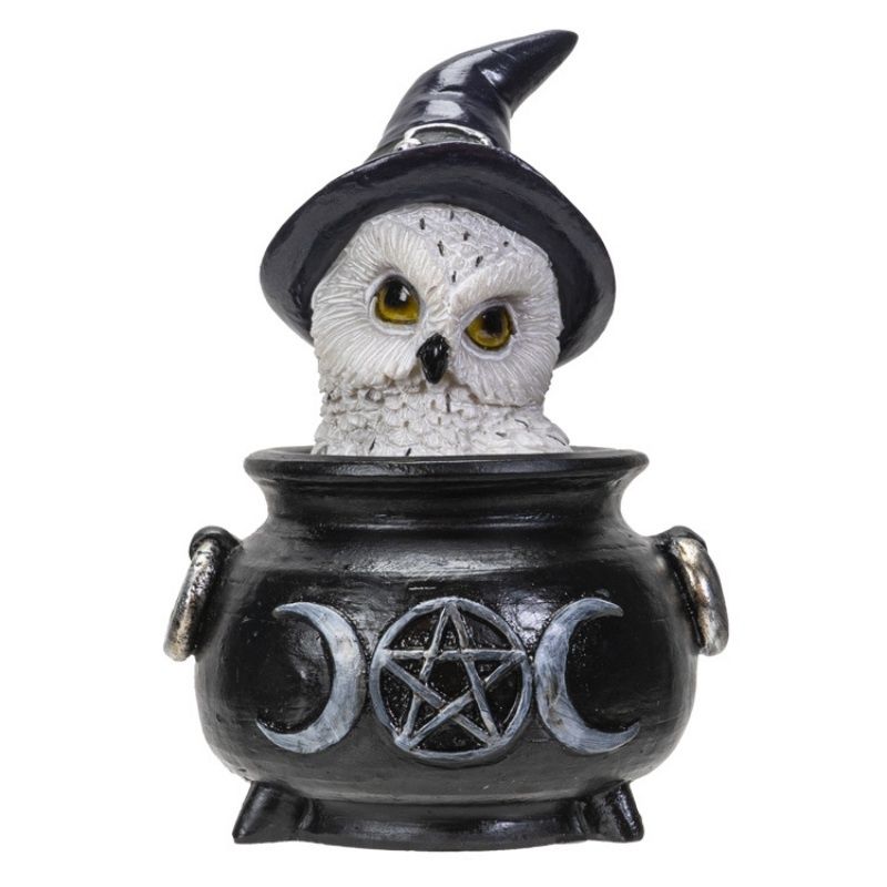Owl In Cauldron