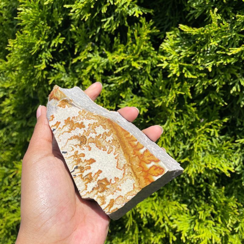 Dendritic Sandstone A