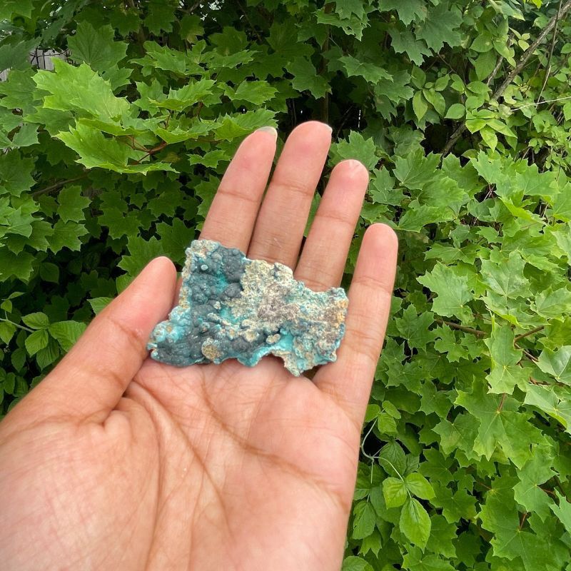 Rosalite $20