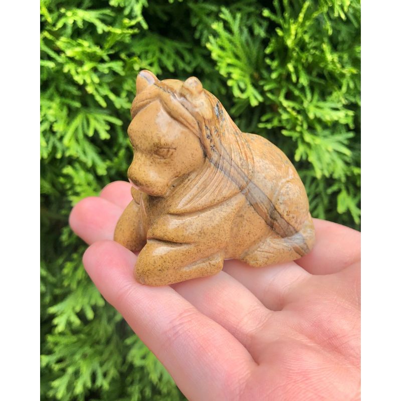 Picture Jasper Horse