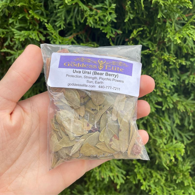 Uva Ursi Leaf .5oz