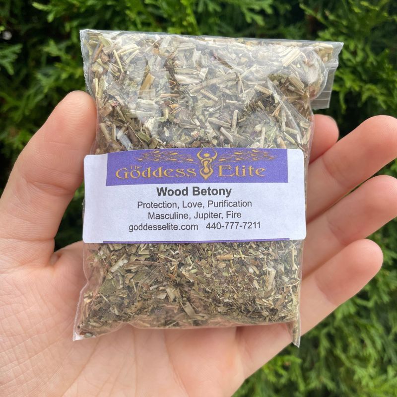 Wood Bettony .5oz