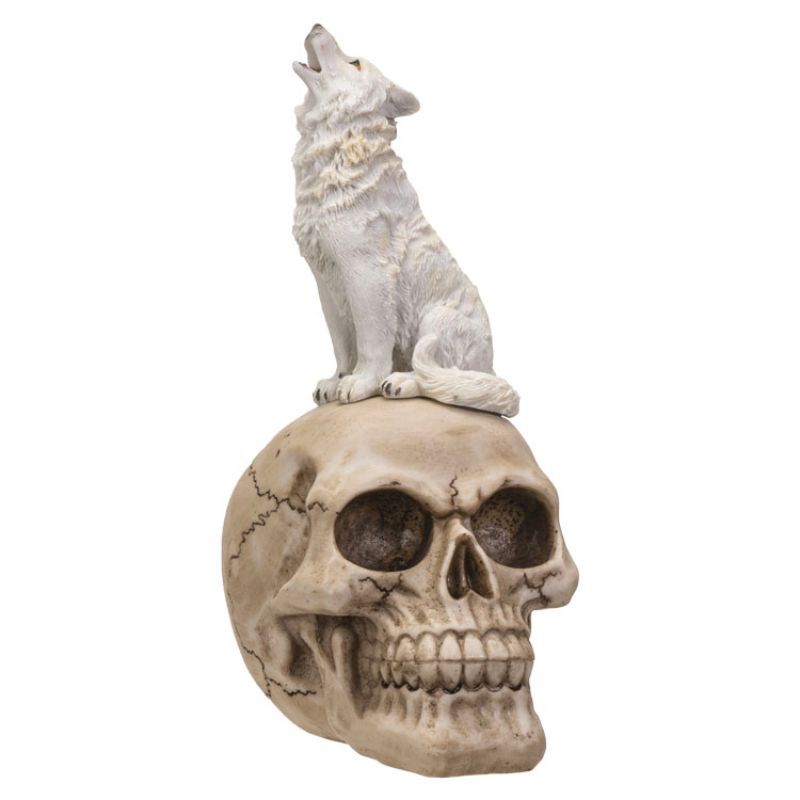 White Wolf On Skull