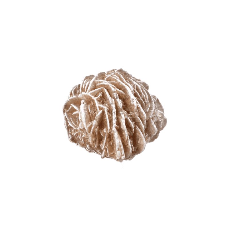 Desert Rose