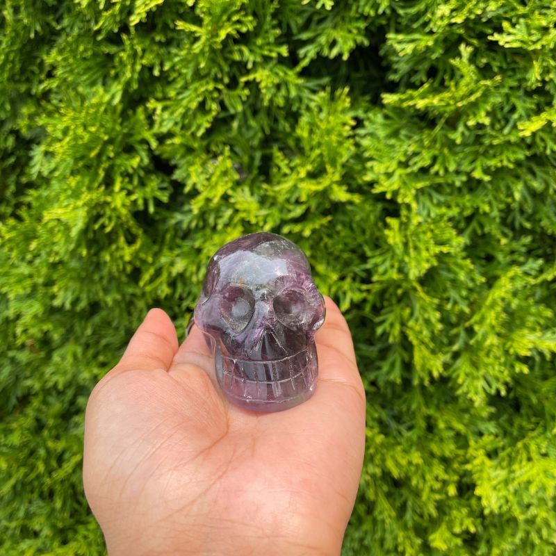 Fluorite Skull $60