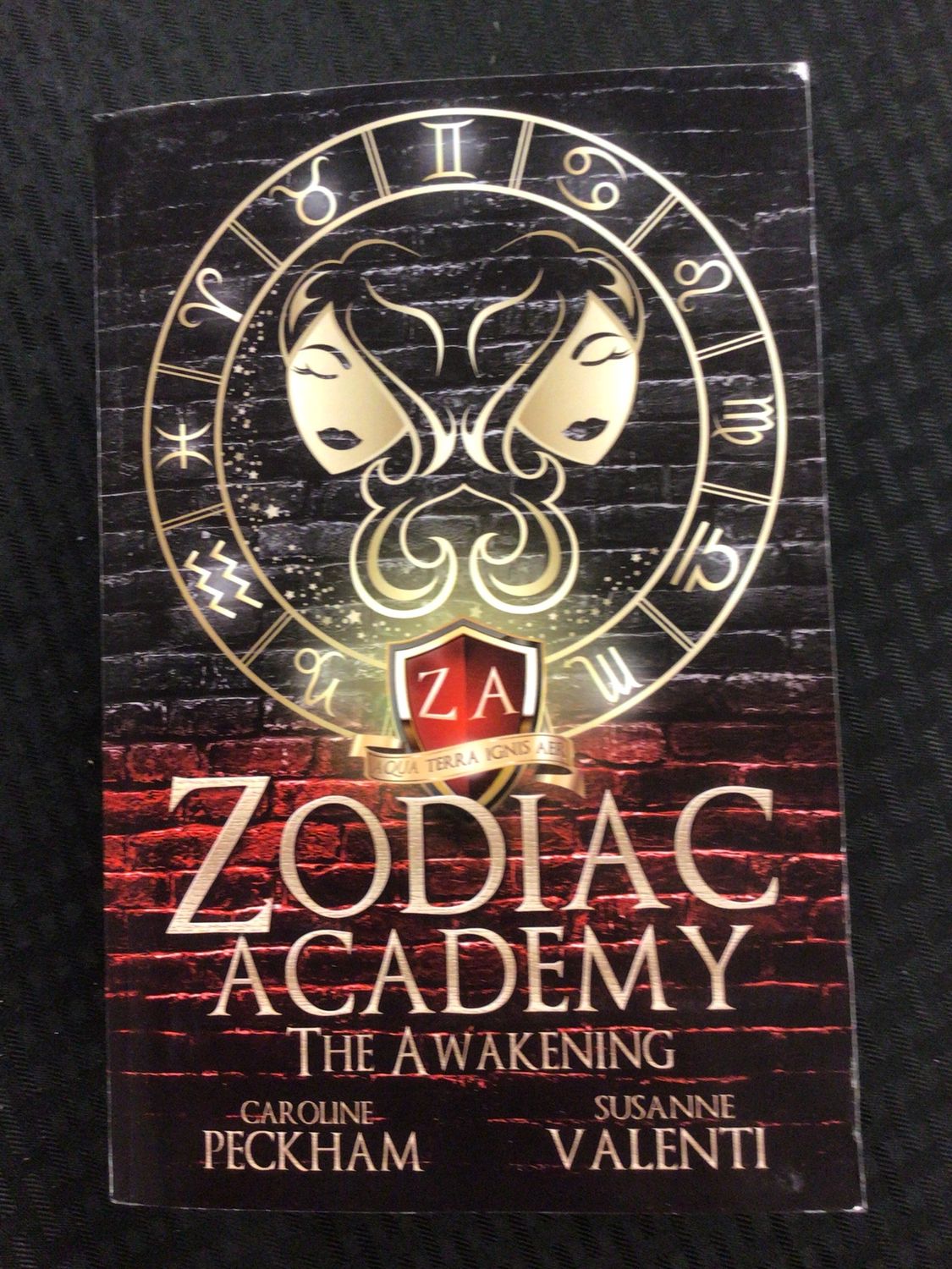 Zodiac Academy: The Awakening