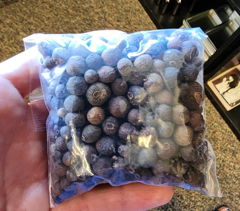 Allspice Berries .5oz