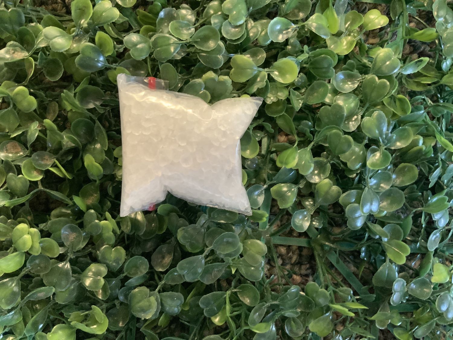 Dead Sea Salt 1oz