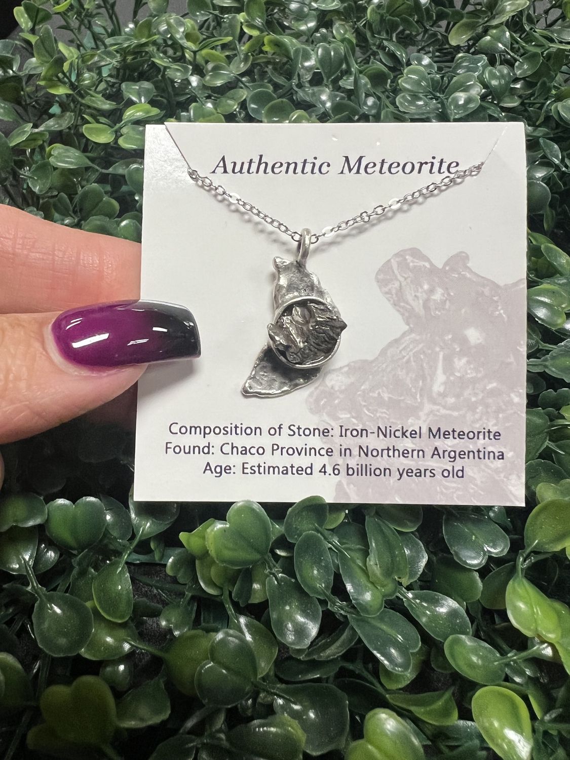 Crescent Moon Necklace With Meteorite