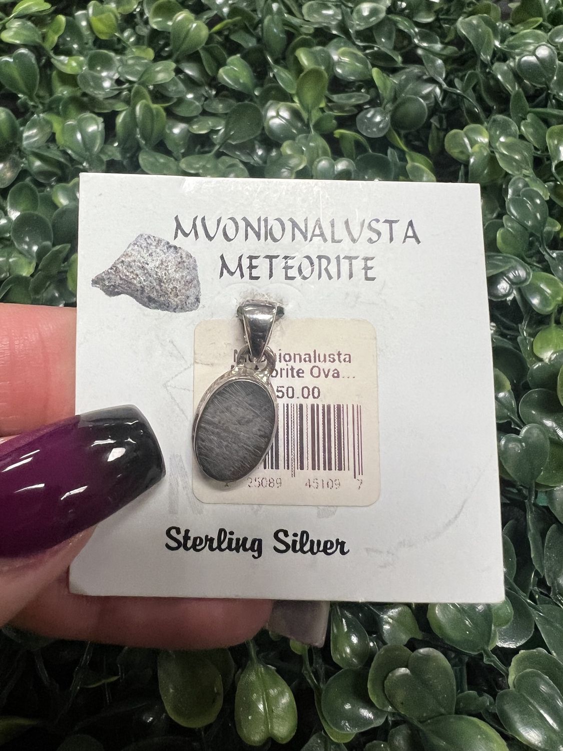 Muonionalusta Meteorite Oval Pendant