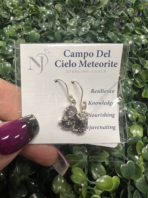 Campo Del Cielo Meteorite Sterling Dangle Earrings