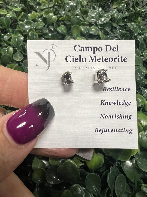 Campo Del Cielo Meteorite Stud Earrings
