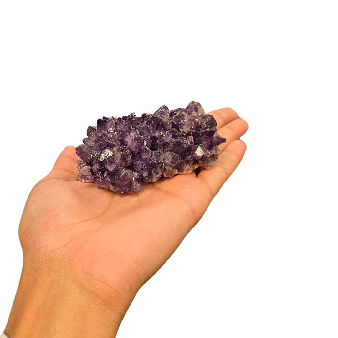 Amethyst Cluster IV