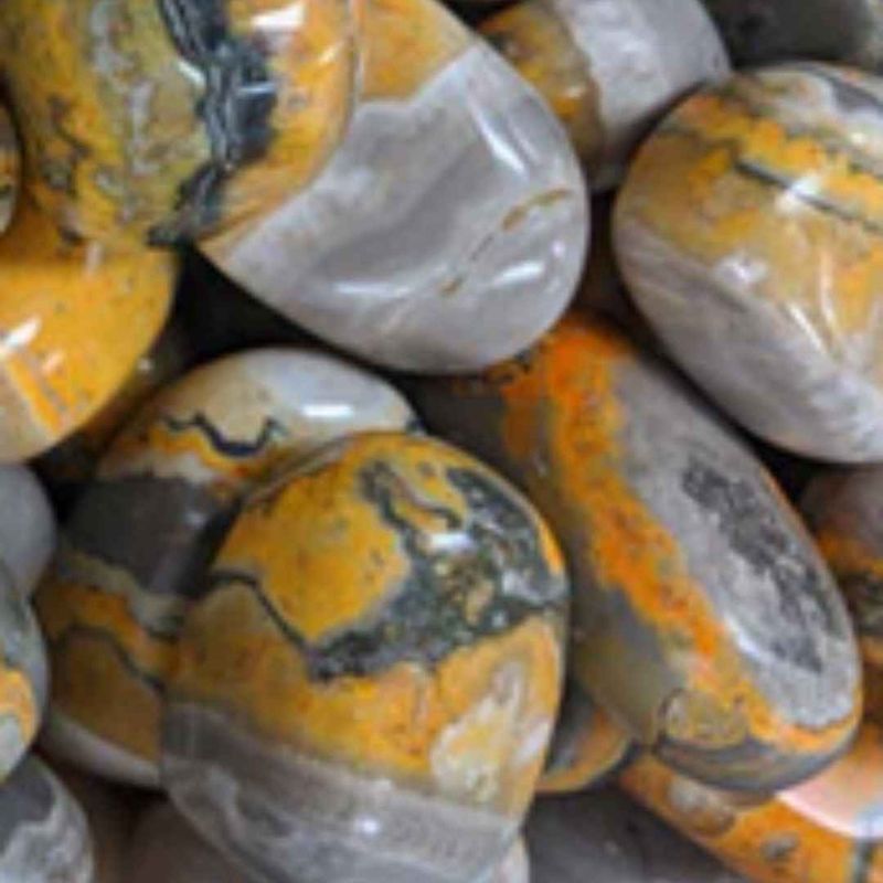 Bumblebee Jasper Tumbled