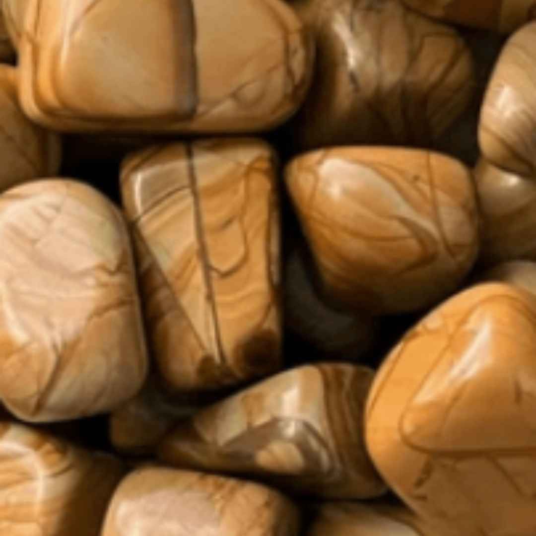 Walnut Jasper Tumbled