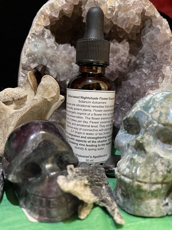 Bittersweet Nightshade  Essence