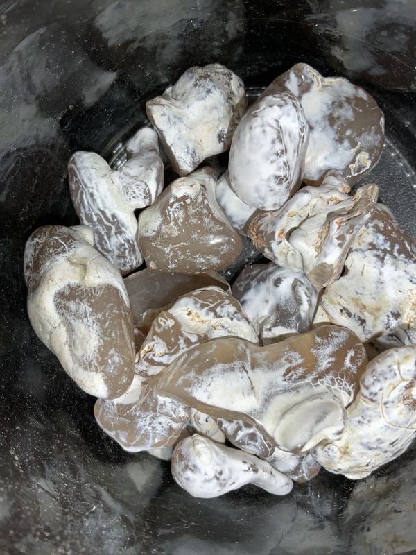 Snakeskin Agate Tumbled