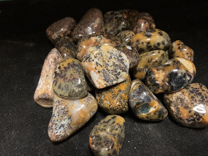 Cheetah Agate Tumbled XL