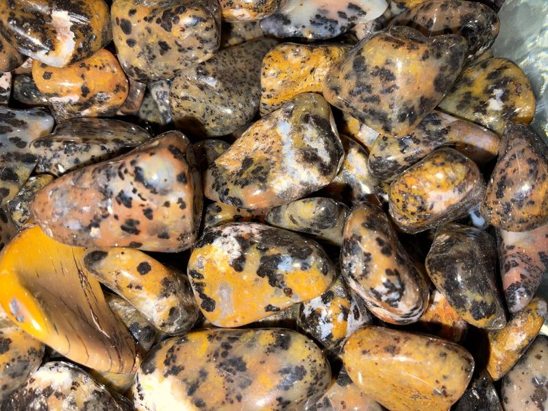 Cheetah Agate Tumbled