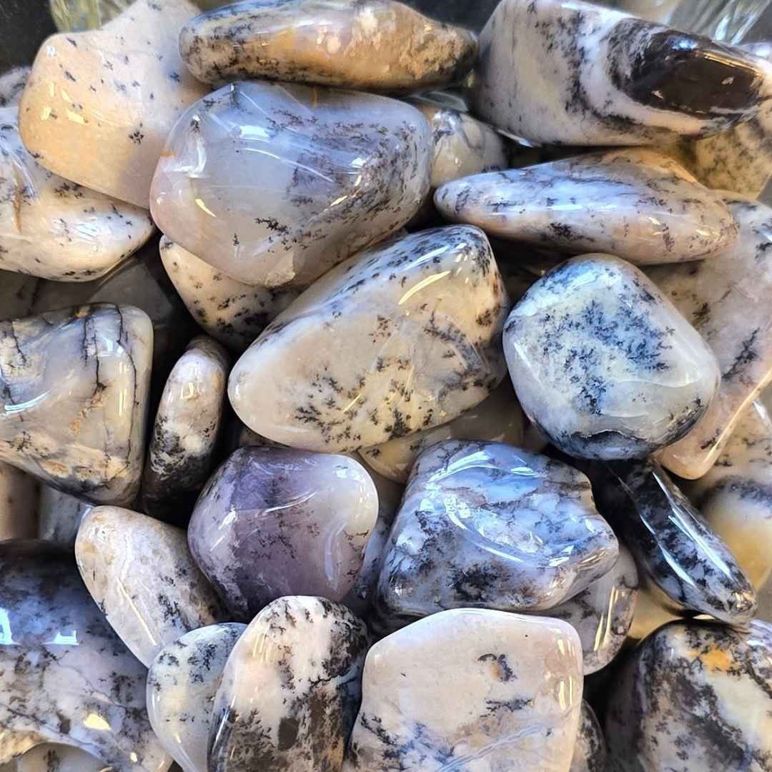 Dendritic Agate Tumble XL