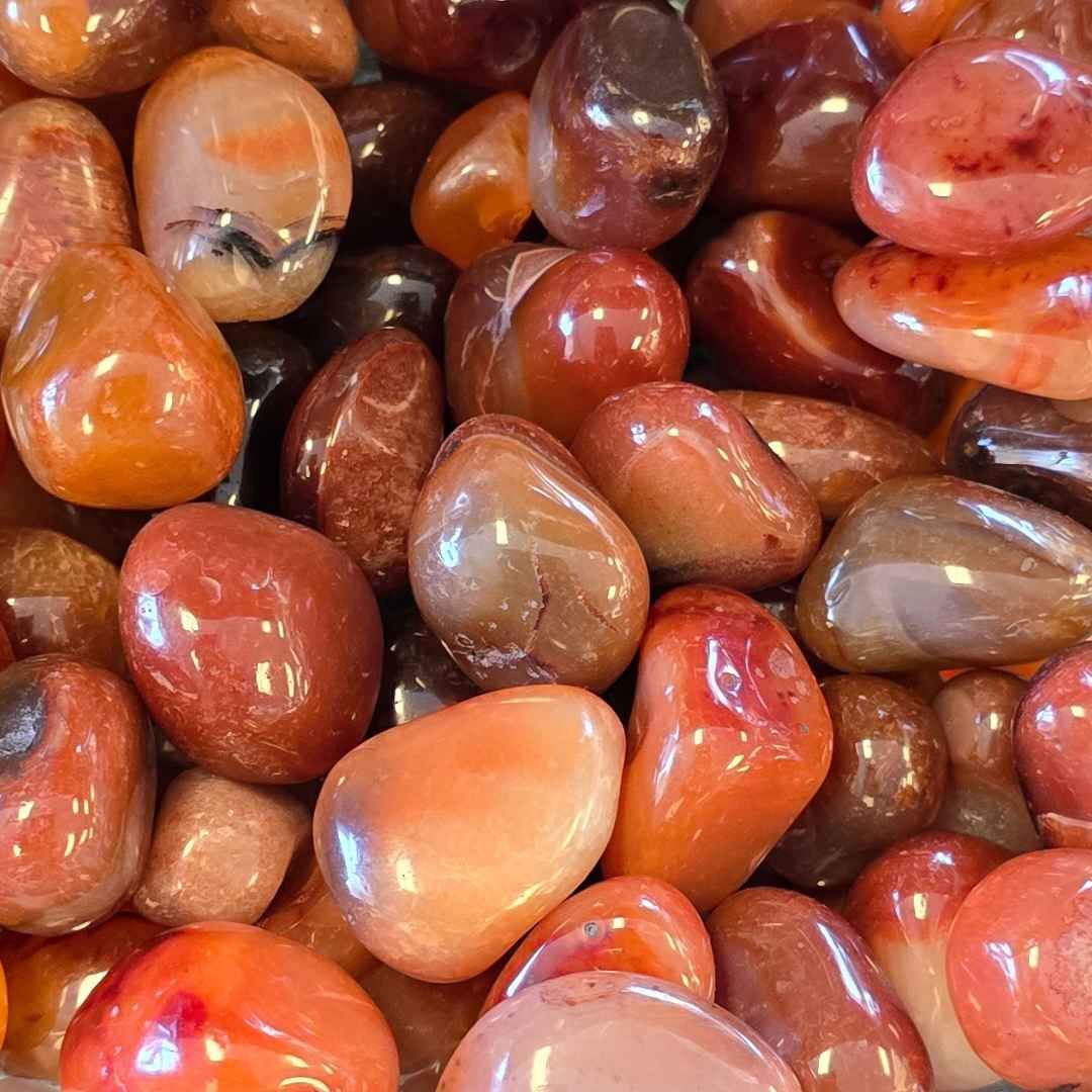 Carnelian Tumbled Large