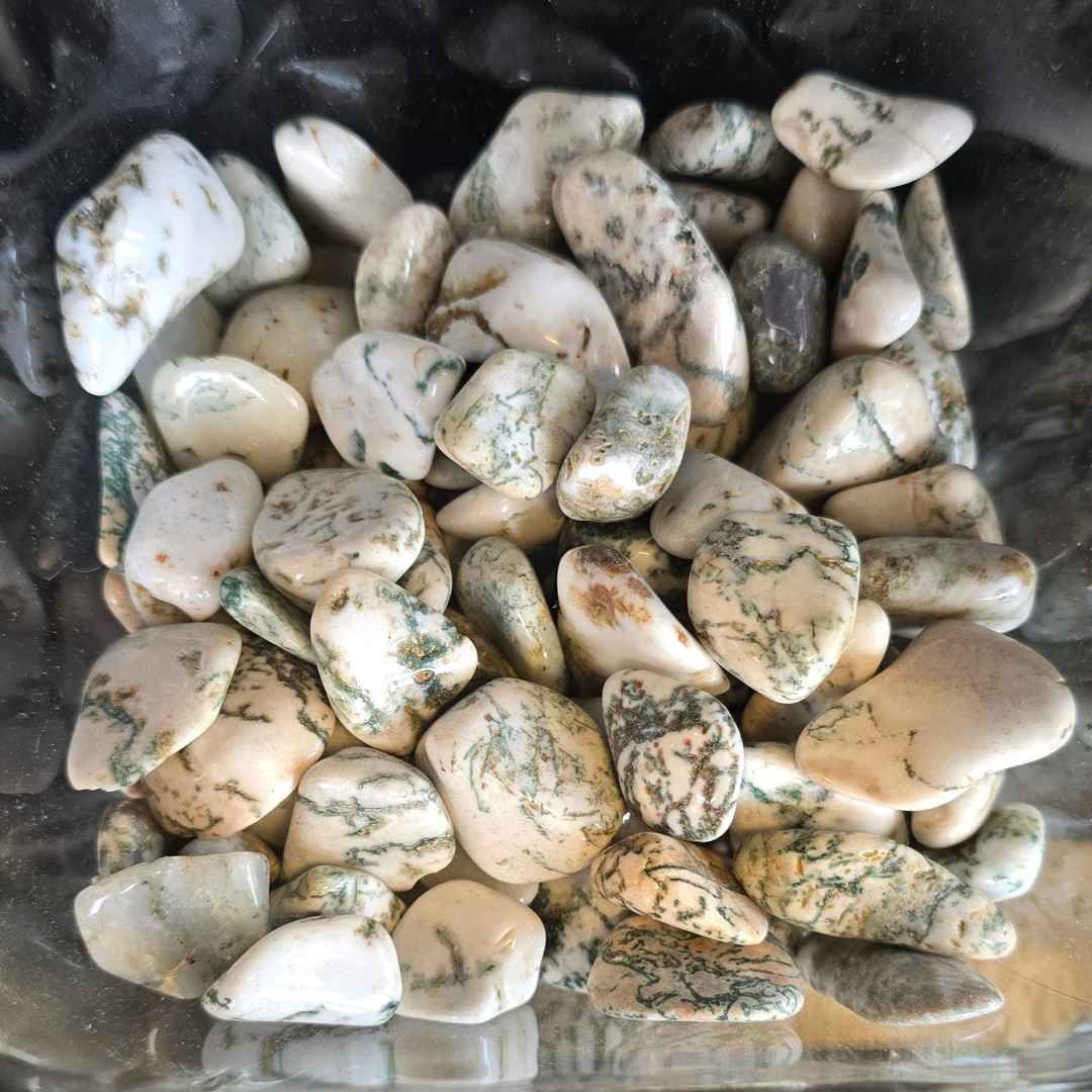 Tree Agate Tumbled