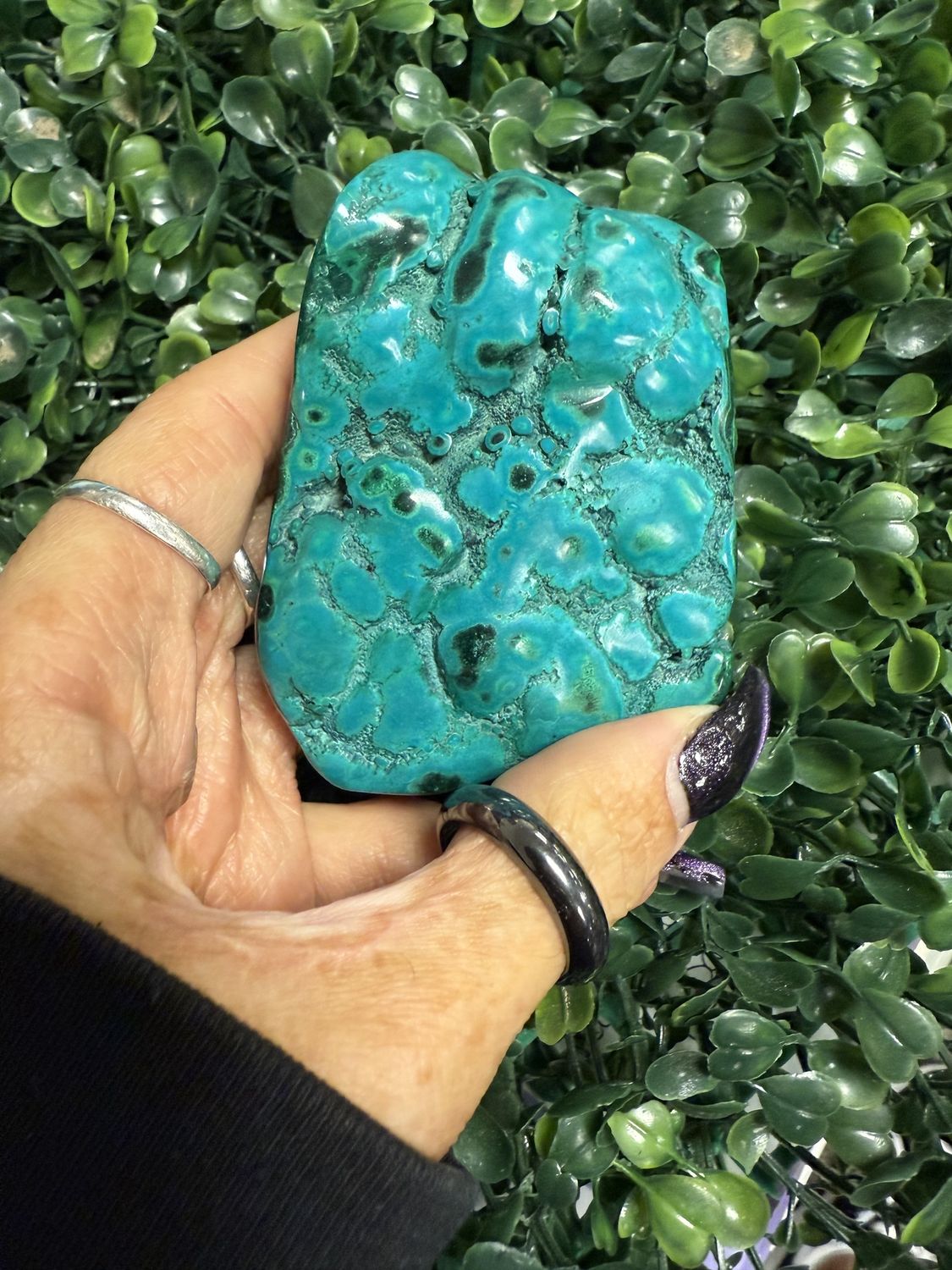 Malacolla Free Form