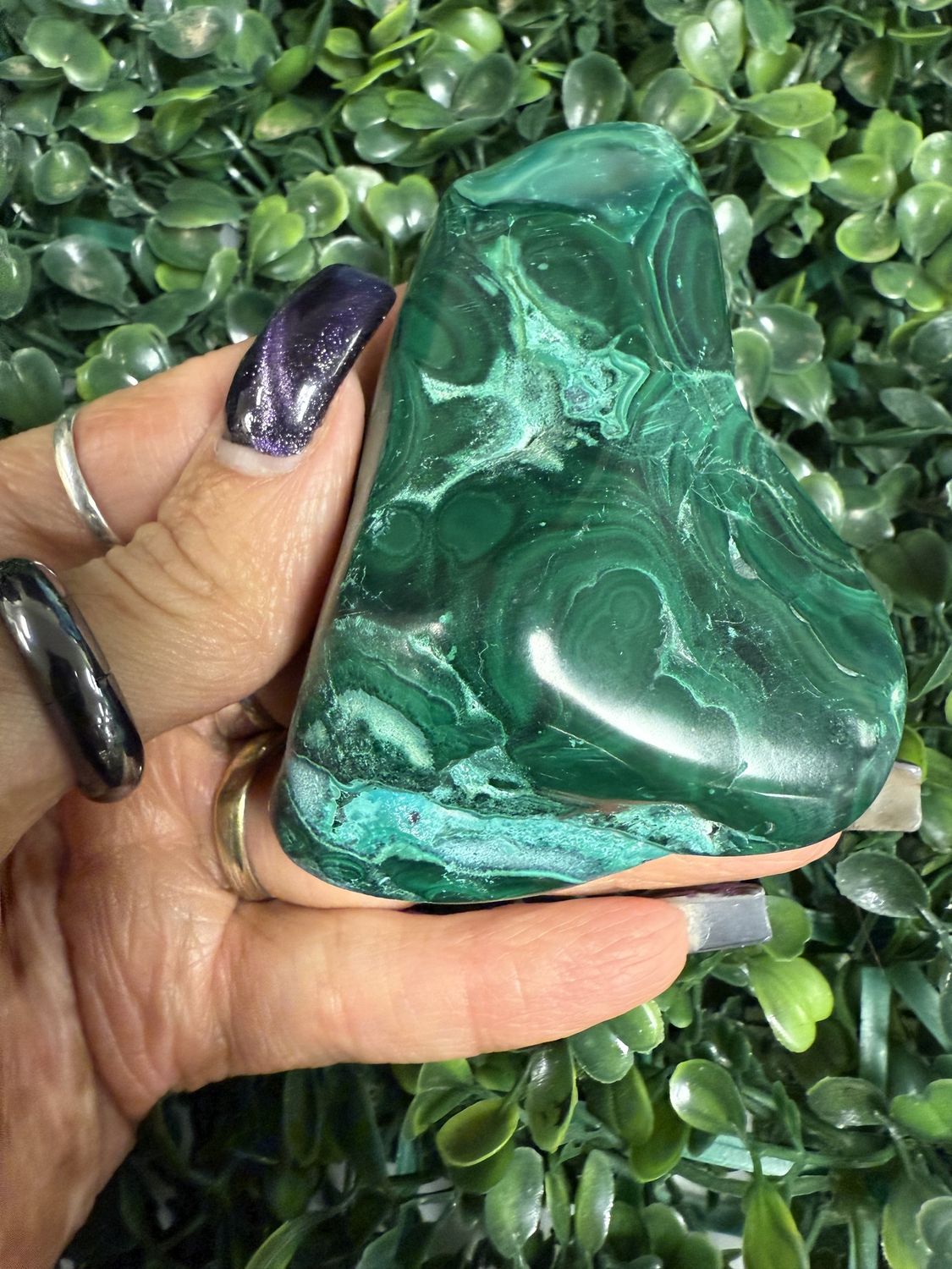 Malacolla Free Form $40