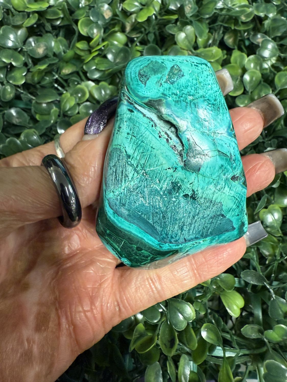 Malacolla Free Form $30