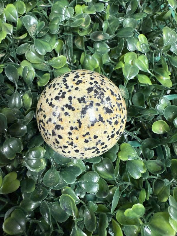 Dalmation Jasper Sphere 40mm