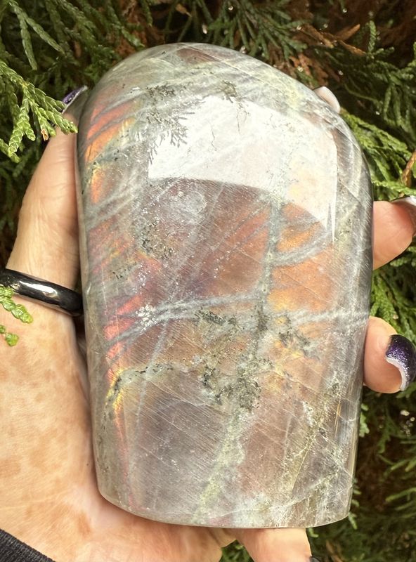 Labradorite Free Form $60