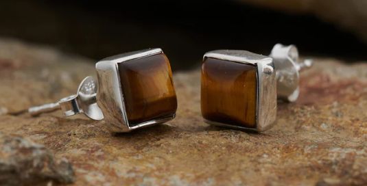 Tigers Eye Round Earrings