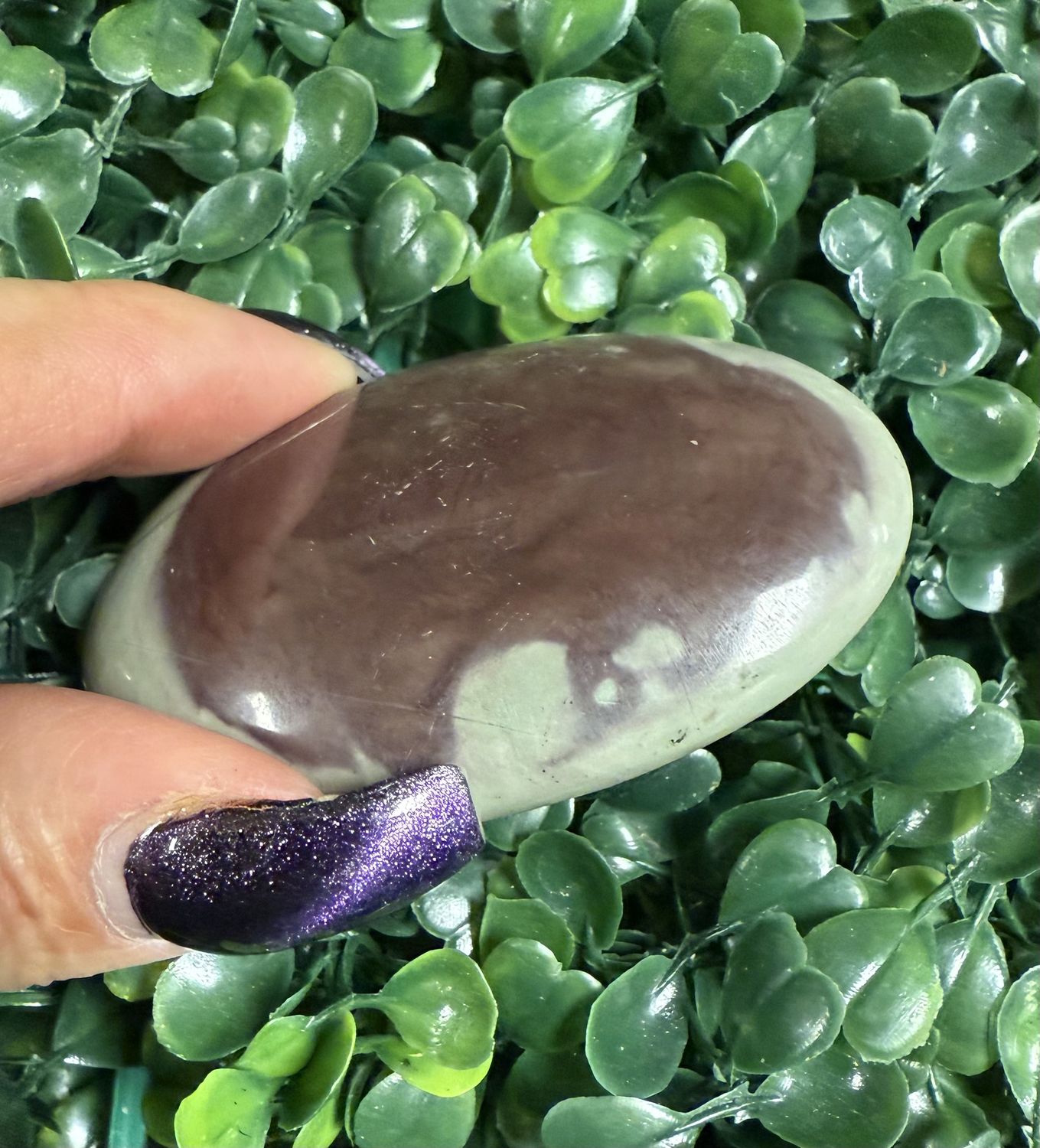 Brown Jasper Palm