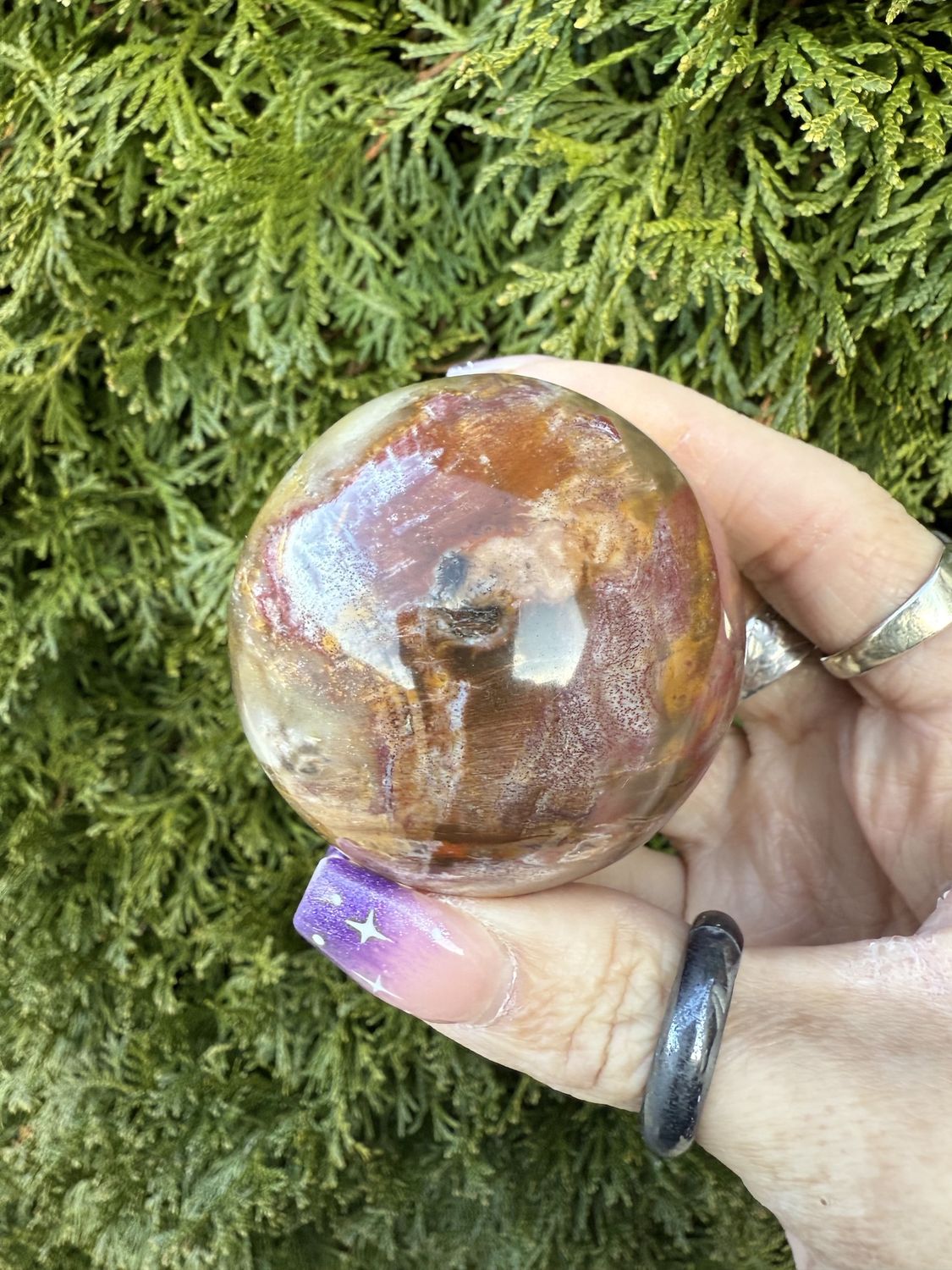 Petrified Wood Sphere
