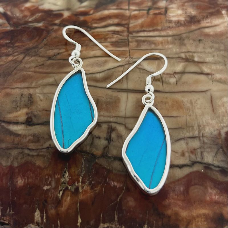 Blue Morpho Butterfly Fine Silver Earrings