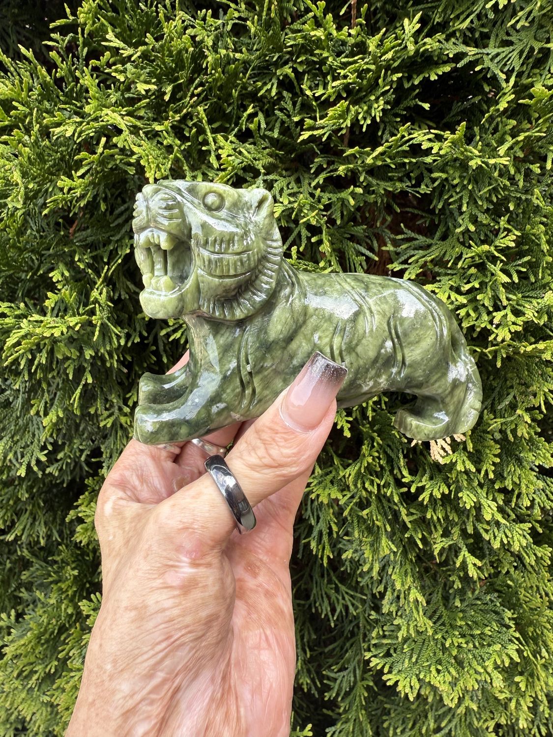 Serpentine Tiger