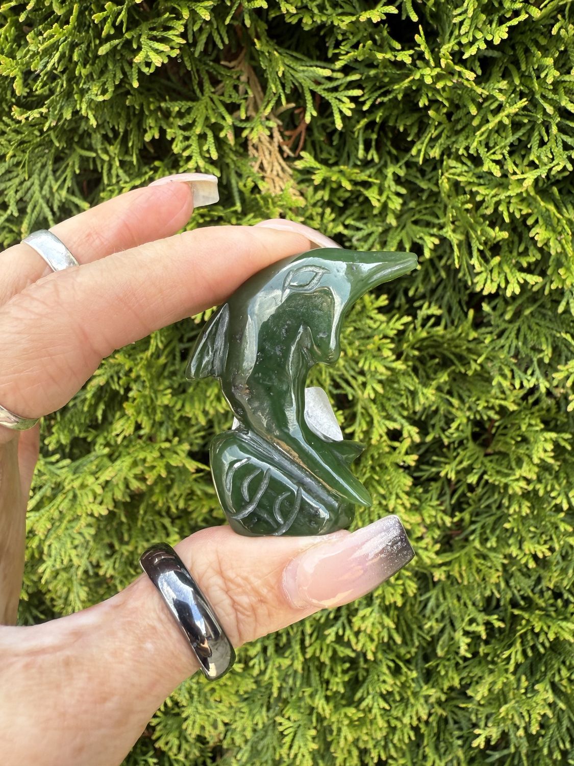 Jade Dolphin