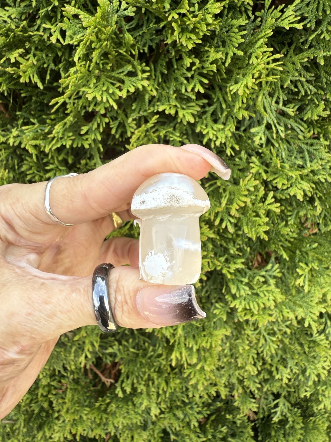 Flower Agate Mushroom