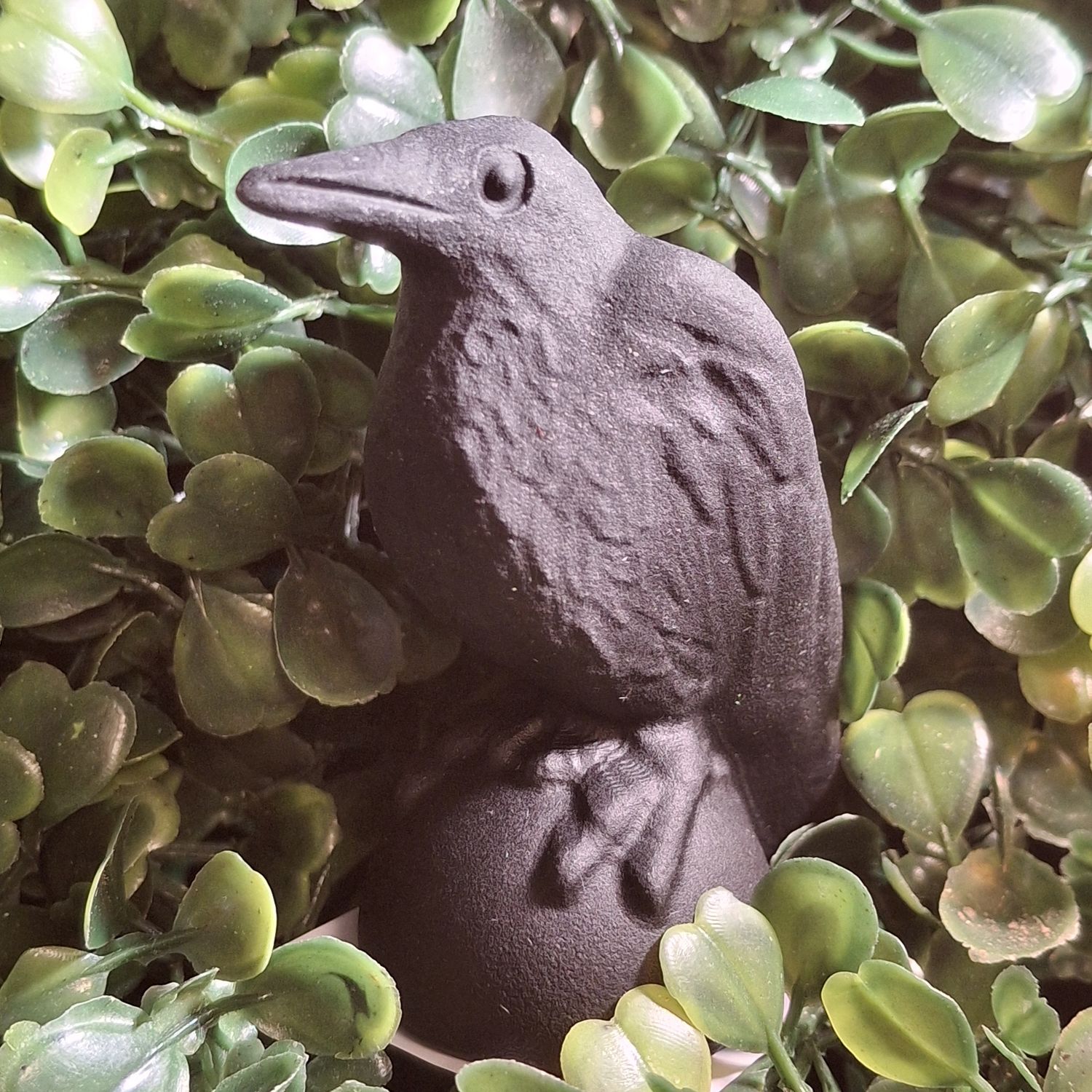 Matte Obsidian Raven