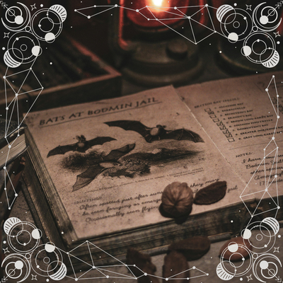 Calendars and Planners