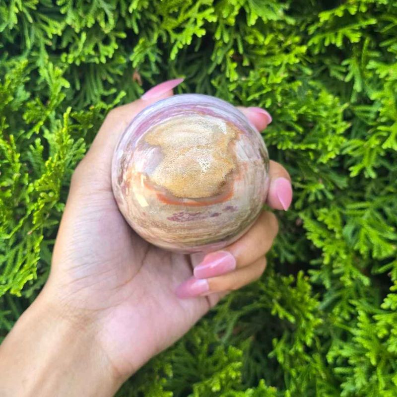 Petrified Wood Sphere 66mm