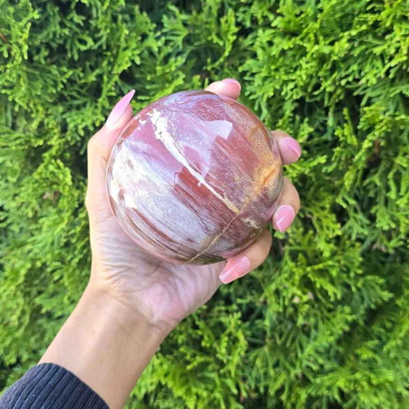 Petrified Wood Sphere 85mm