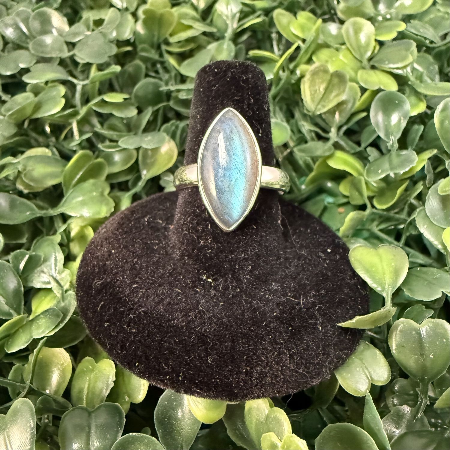 labradorite Ellipse Sterling Ring Sz8