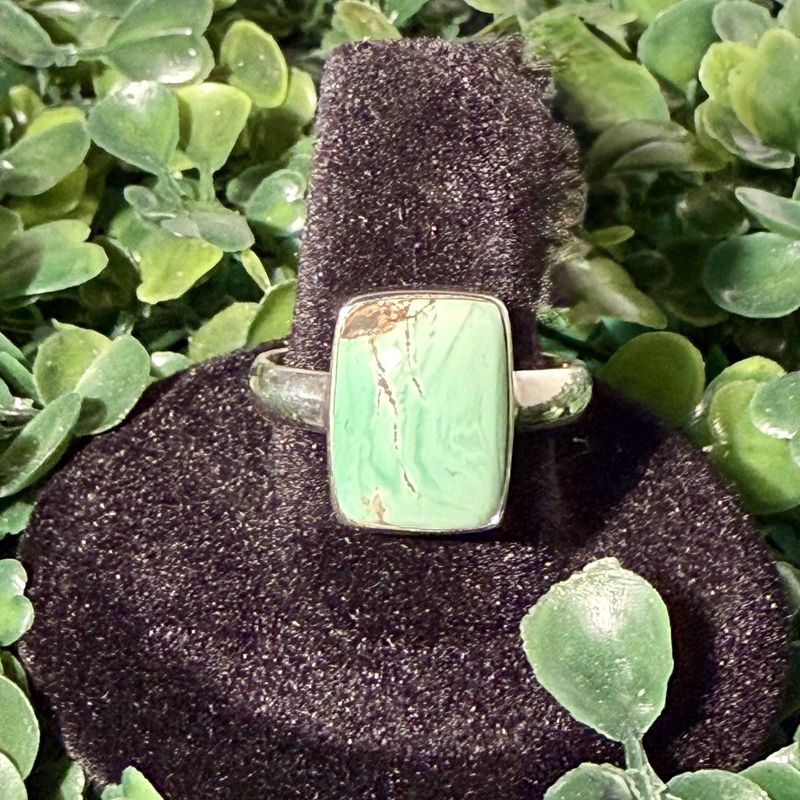 Variscite Ring Sz10 Rectangle